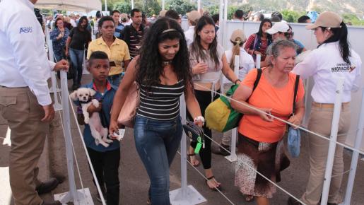 Muchos venezolanos migran con sus mascotas