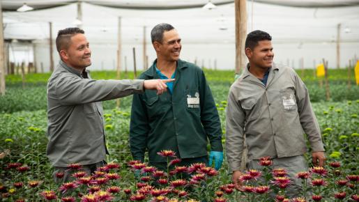 La nueva normativa dice que los empleados extranjeros, sin consideración de su situación migratoria, gozarán de las mismas garantías laborales.